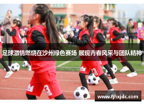 足球激情燃烧在沙州绿色赛场 展现青春风采与团队精神