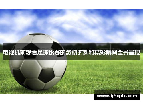 电视机前观看足球比赛的激动时刻和精彩瞬间全景呈现